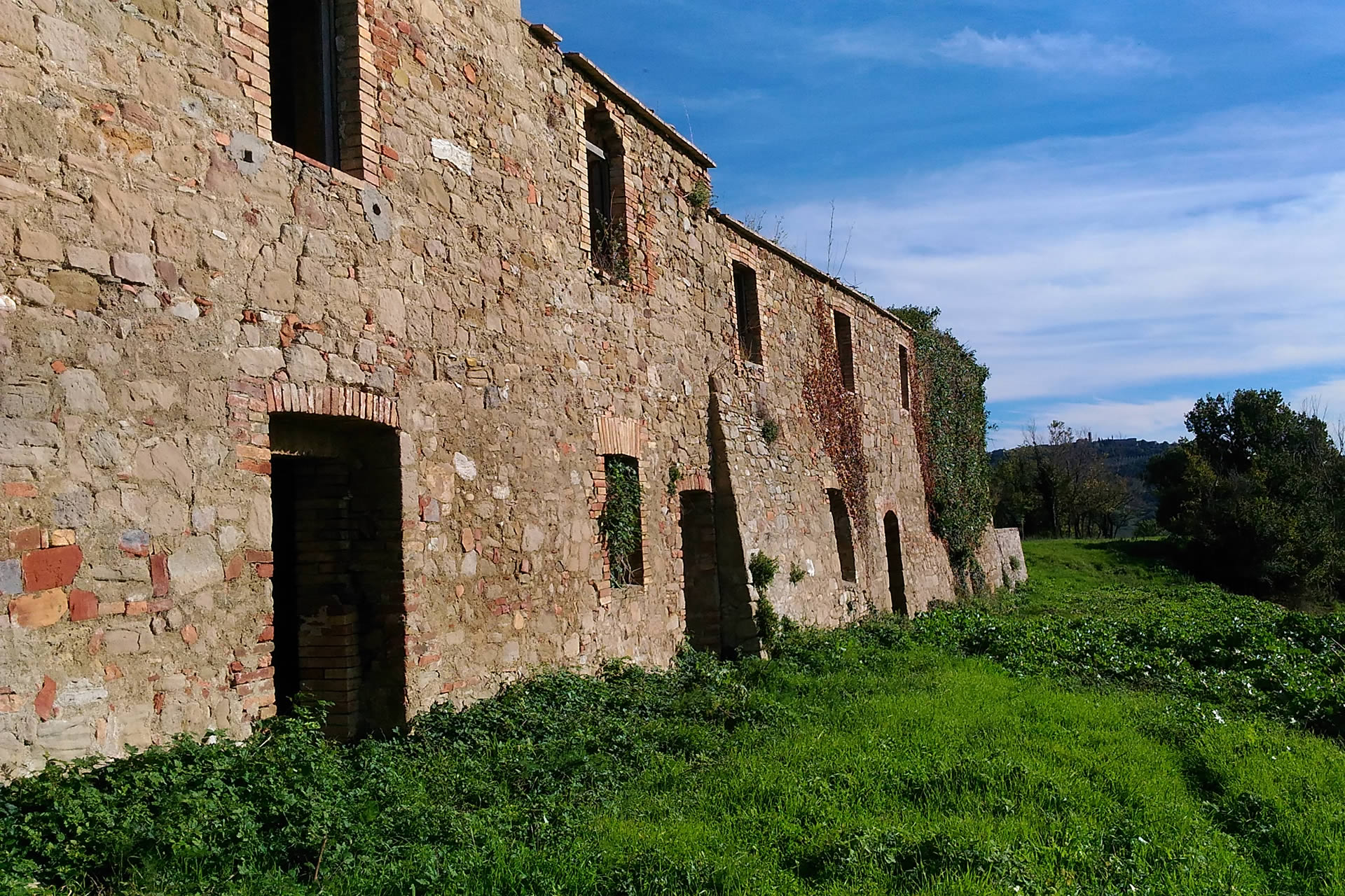 Sviluppo di impresa / Agribusiness